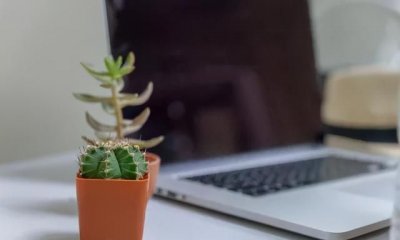 ​电脑前放仙人掌能防辐射吗，长时间面对电脑，仙人掌放在计算机旁真能防辐射吗