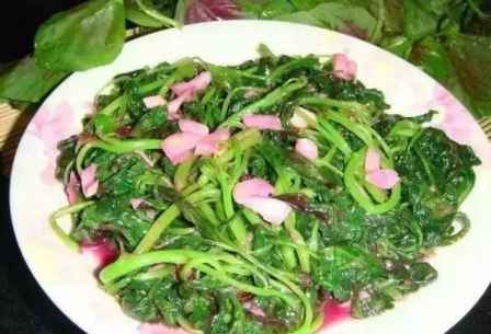 长寿菜怎么吃 长寿菜的营养
