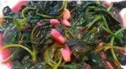 长寿菜怎么吃 长寿菜的营养