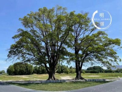 ​男人出轨后会真心回归吗（什么样的出轨男人会真心回头）