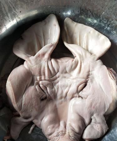 猪的耳朵像什么