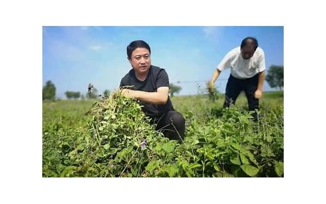 高情商女生撩男生的聊天记录,活该她们有对象