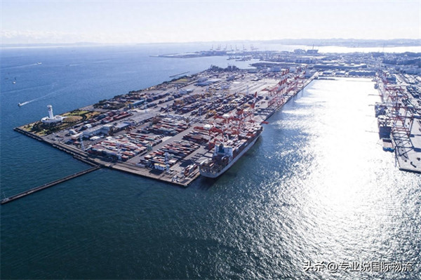 海底捞黑海会员有什么待遇(借别人黑海会员怎么结账)