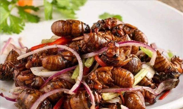 水煎包发源地,你听说山东人喜欢煎饼卷大葱从哪知道的??图13