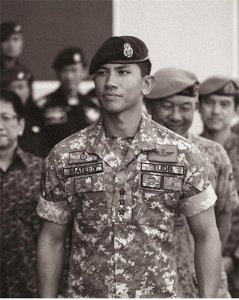 ​比吴尊更帅的文莱王子，开飞机，养老虎，女友是部长孙女超有颜值