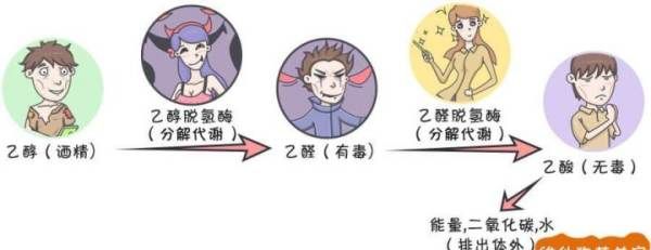 如何提高酒量又不上脸,怎么提高酒量图10