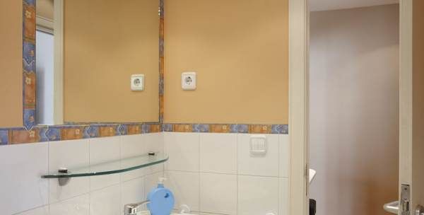 厕所飞的小黑虫是什么,卫生间墙壁里面出来黑色的小虫子图1