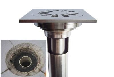 厕所飞的小黑虫是什么,卫生间墙壁里面出来黑色的小虫子图6