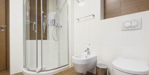 厕所飞的小黑虫是什么,卫生间墙壁里面出来黑色的小虫子图3