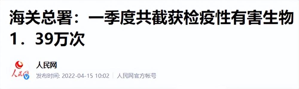 大家第一次看见蟑螂是什么反应（厦门海关截获2000只活蟑螂）(26)