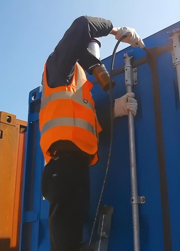 大家第一次看见蟑螂是什么反应（厦门海关截获2000只活蟑螂）(6)