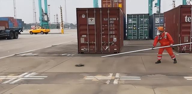 大家第一次看见蟑螂是什么反应（厦门海关截获2000只活蟑螂）(23)