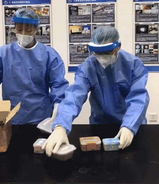 大家第一次看见蟑螂是什么反应（厦门海关截获2000只活蟑螂）(10)