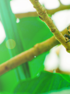 ​什么的鱼(什么的鱼塘)