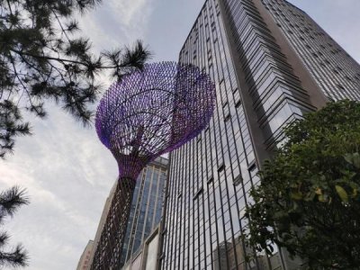 ​一斤白酒有多少立方(一斤白酒等于几瓶啤酒)