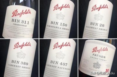 ​奔富bin系列是什么意思(奔富bin数字是什么意思)