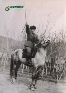 ​老战友酒53度多少钱(新疆兵团老战友酒)