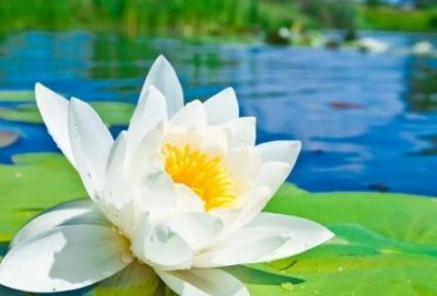 ​如何清洗白色家具污渍白色家具上的污渍怎么去除