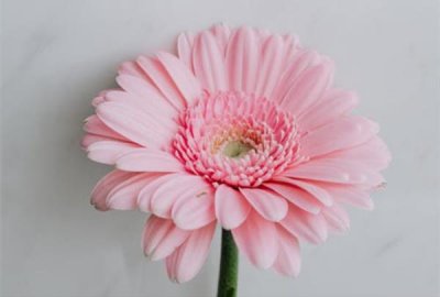 ​爱而不得的婚外情该怎么办，面对爱而不得的人