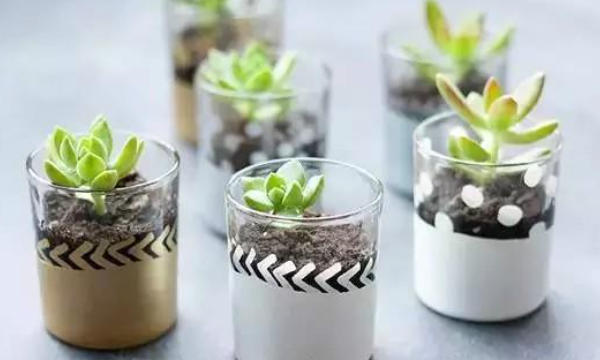 生活中废旧物品再利用有哪些,生活垃圾中有哪些是可以再利用的以及利用方法图2