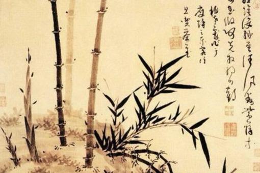 宁可食无肉不可居无竹是什么意思?古人为何偏爱竹子?