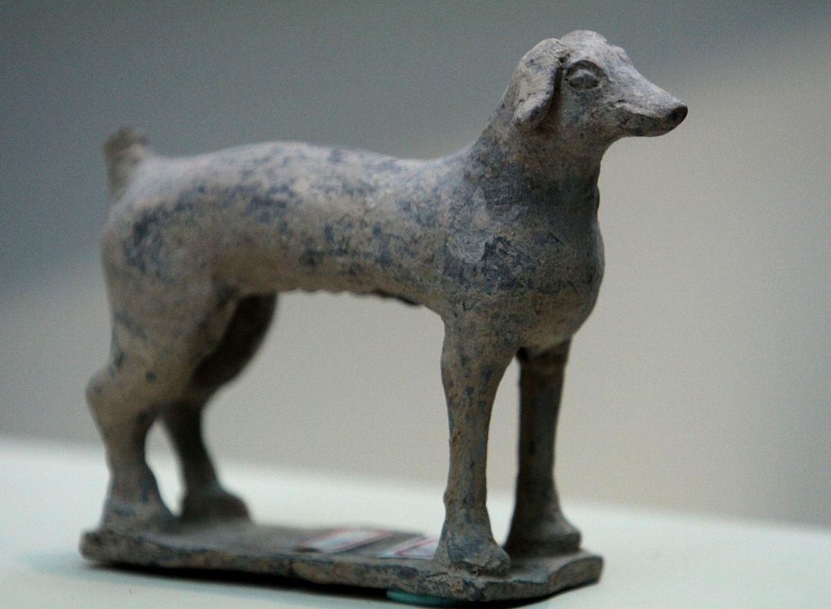 狗和猪相配婚姻如何狗和什么属相最配