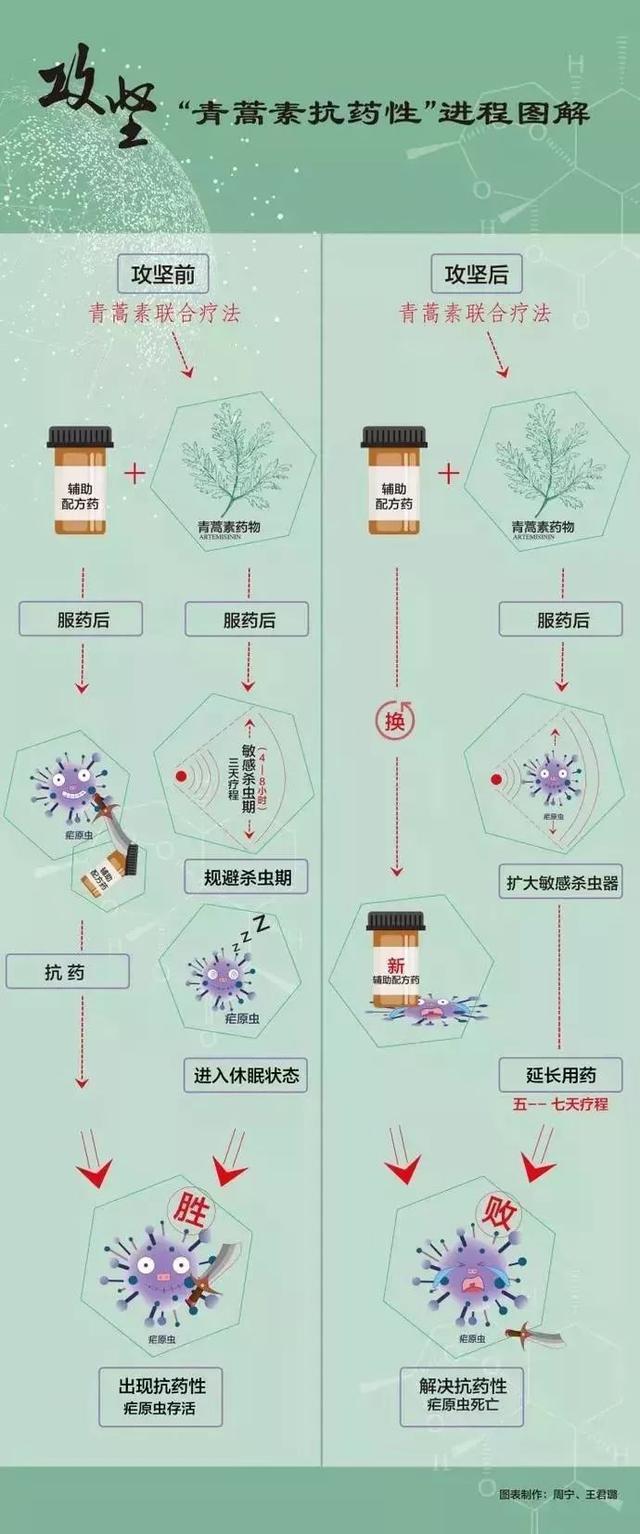 诺奖得主屠呦呦青蒿素研究取得新进展