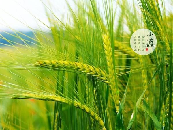 小满是春夏秋冬什么季节