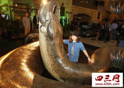 世界上最大的蛇(世界上最大的蟒蛇有多大)-第1张图片-