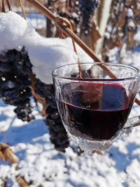干红葡萄酒的结冰温度
