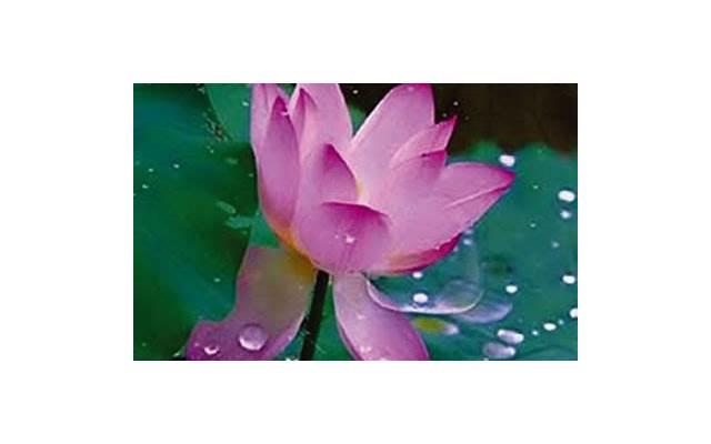 情侣之间的99条约定 情侣间的10条恋爱条约