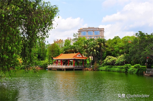 随拍公园 - 东莞 长安公园