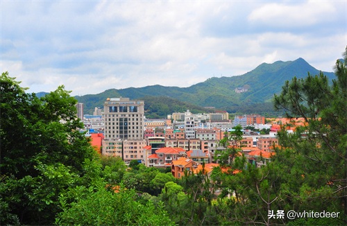 随拍公园 - 东莞 长安公园