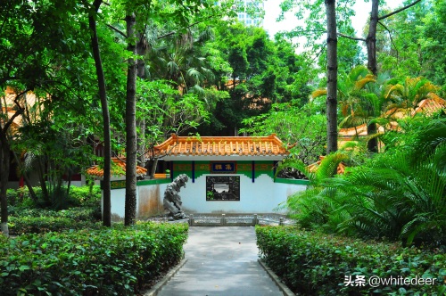 随拍公园 - 东莞 长安公园