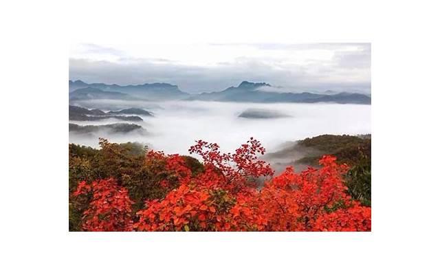 如何推销自己的话术 如何推销自己的话术