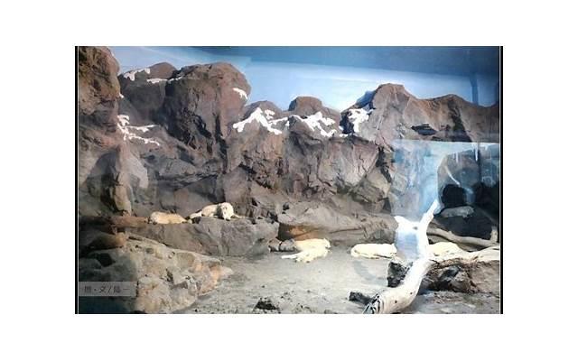 如何用陌陌泡妞之表白被拒怎么继续?