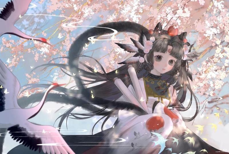 健康四靠五号的特征