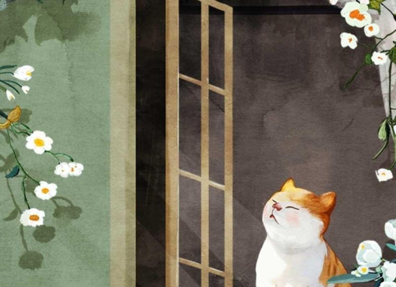 肺炎支原体感染可以吃头孢吗