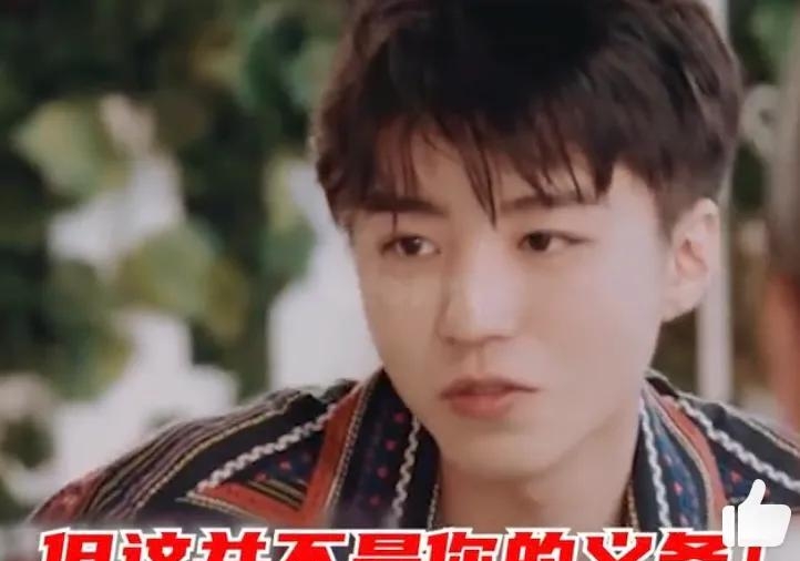 王俊凯喜欢什么(王俊凯喜欢的人是谁) 王俊凯 第14张