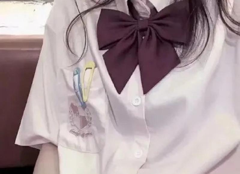 出世的智慧，入世的手段