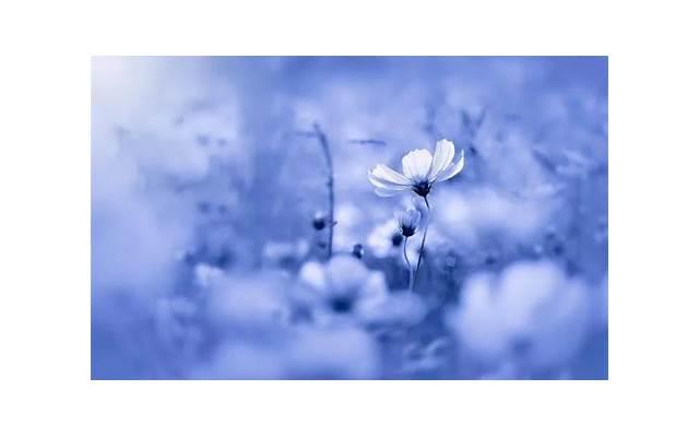 真正的性高潮是什么感觉 女性性高潮有哪几种反应